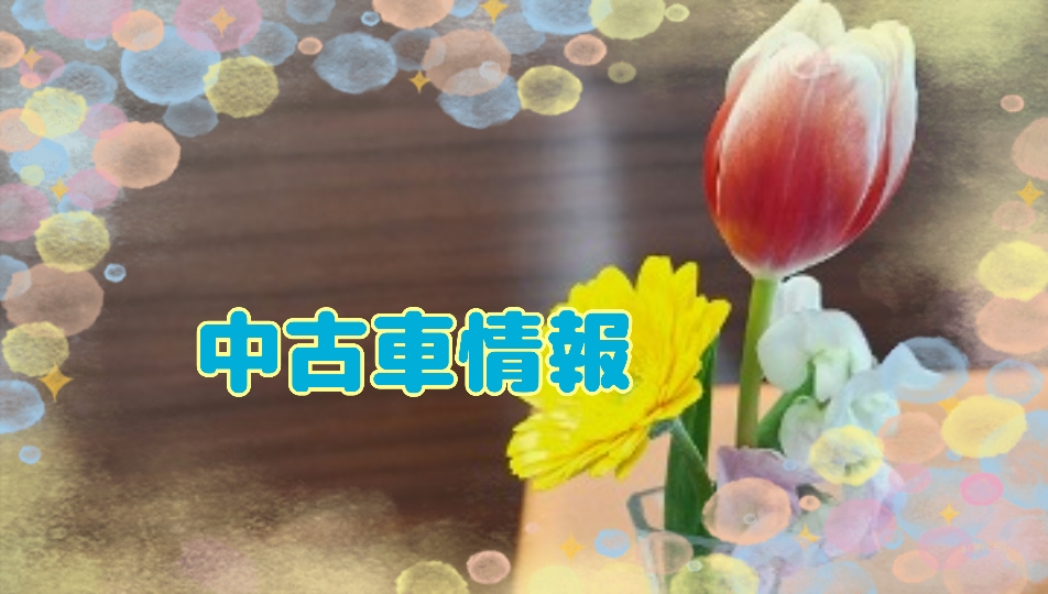 🌟浦和美園店🌟人気車種がそろってます🫧